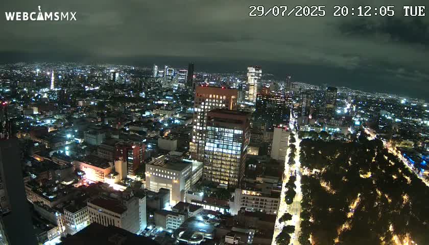 A nighttime aerial view of a brightly lit city with a long, tree-lined avenue cutting through it.