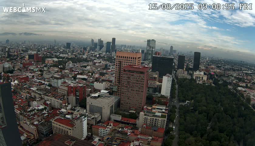 An aerial view of a sprawling city under a cloudy sky shows numerous buildings, a large park, and distant mountains.