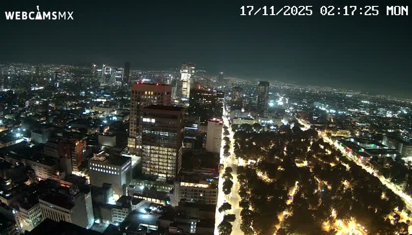 An aerial night view captures a sprawling city illuminated by countless lights from buildings and streets, with a prominent tree-lined boulevard cutting through the scene, all under clear, dark skies.