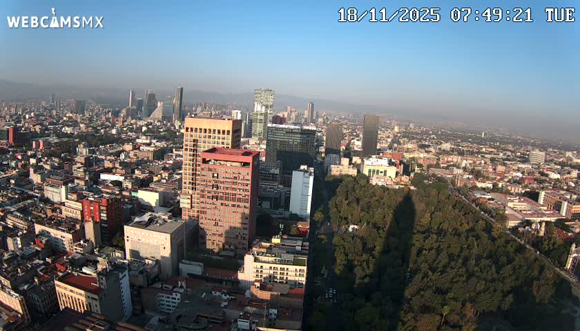 An aerial night view captures a sprawling city illuminated by countless lights from buildings and streets, with a prominent tree-lined boulevard cutting through the scene, all under clear, dark skies.