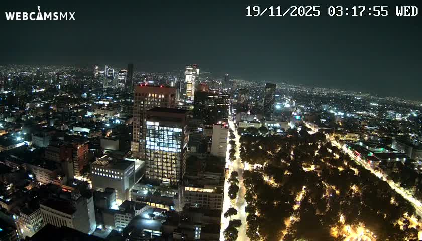 A clear night aerial view captures a vast city illuminated by countless building and street lights, with a large, tree-lined park and an avenue winding through the urban landscape.