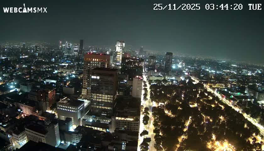 An expansive city glows at night from an aerial perspective, showcasing myriad building lights, busy streets, and an illuminated park beneath a clear, dark sky.