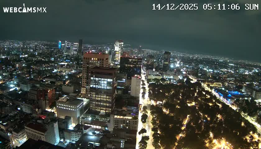 An expansive city glows at night from an aerial perspective, showcasing myriad building lights, busy streets, and an illuminated park beneath a clear, dark sky.