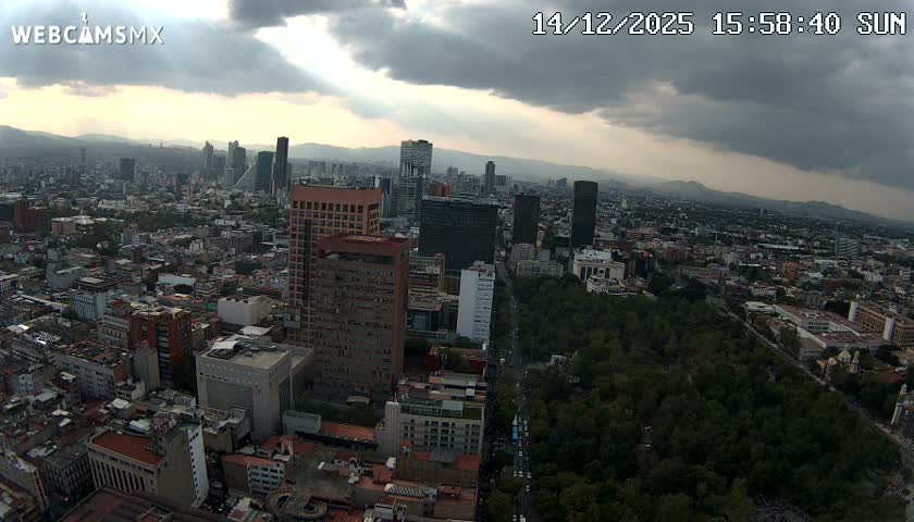 An expansive city glows at night from an aerial perspective, showcasing myriad building lights, busy streets, and an illuminated park beneath a clear, dark sky.