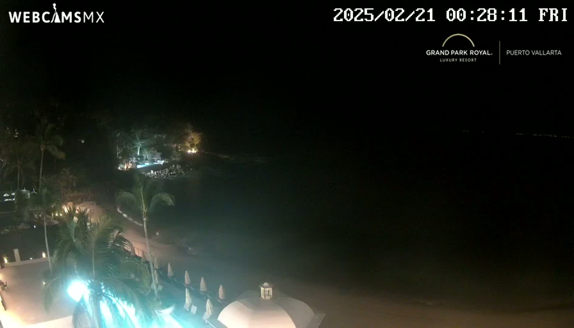 A nighttime, seaside view shows a resort area with palm trees, dimly lit buildings, and a dark ocean under a clear sky.