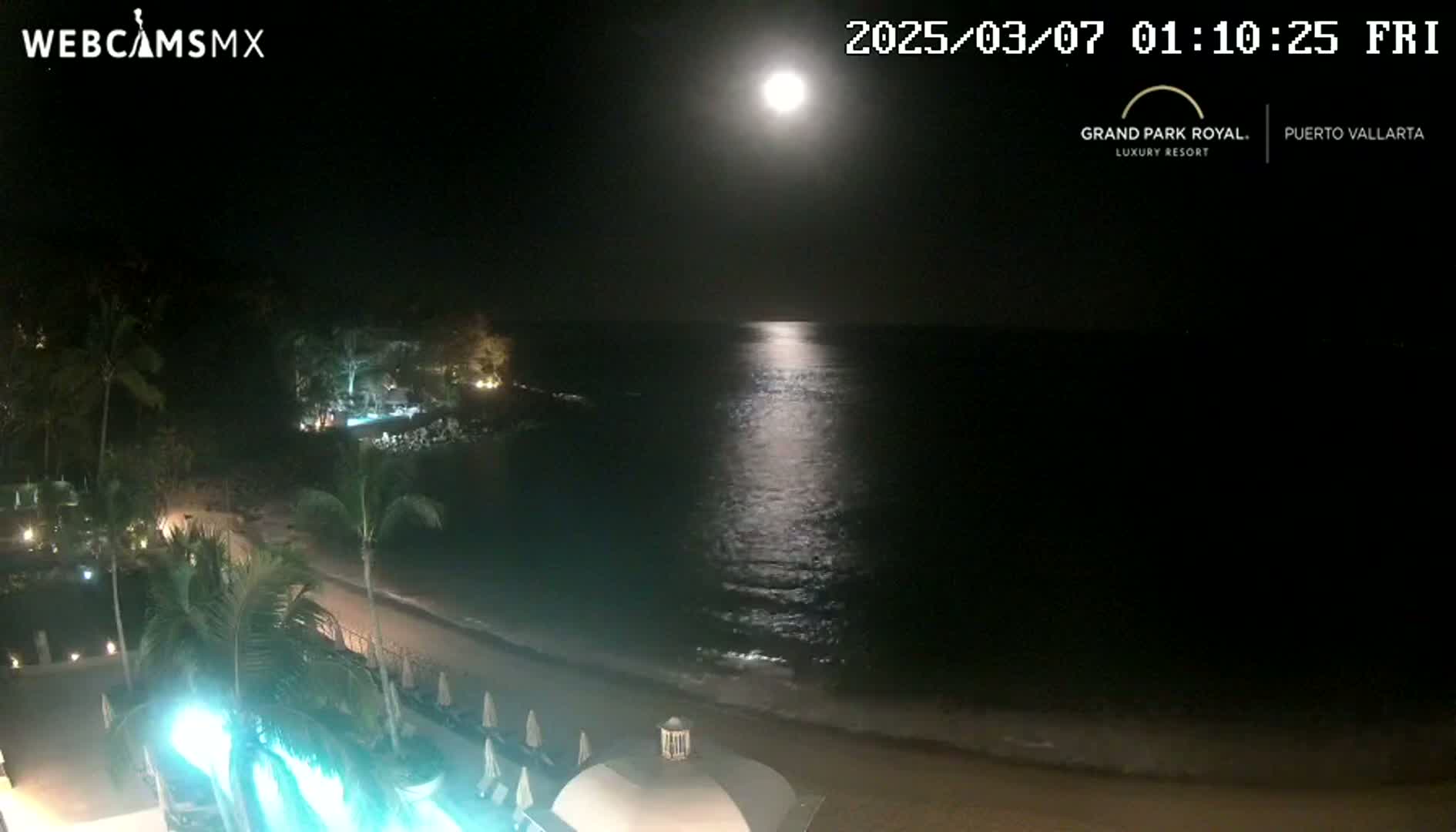 A bright moon illuminates a calm ocean at night, reflecting on the water near a beach with palm trees and resort buildings.