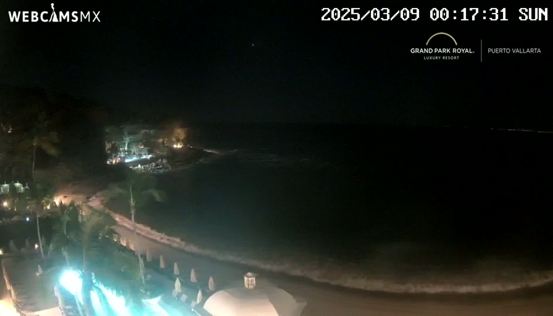 A nighttime view of a dark ocean with waves gently lapping a shoreline, palm trees and lights visible along the coast.