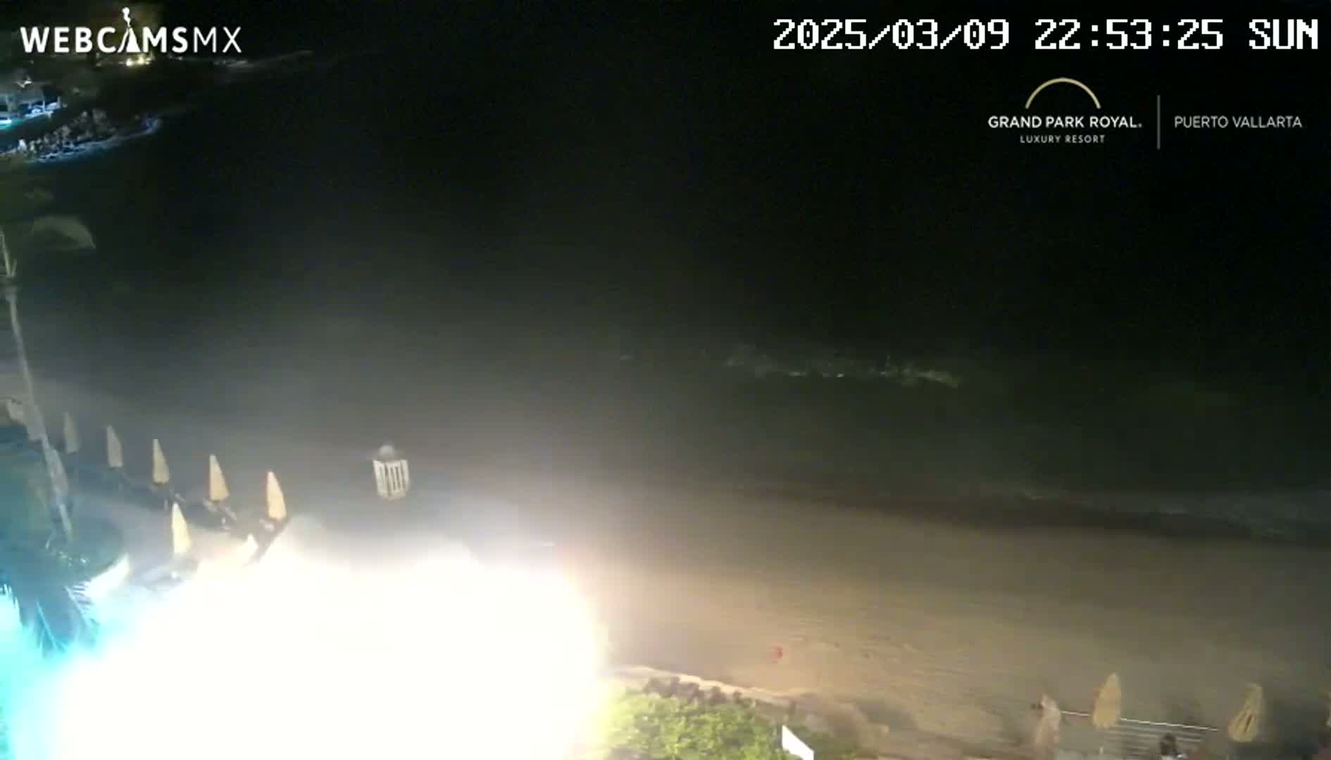 A nighttime beach scene shows dark ocean waves lapping at a sandy shore, with beach umbrellas and some vegetation visible in the foreground.