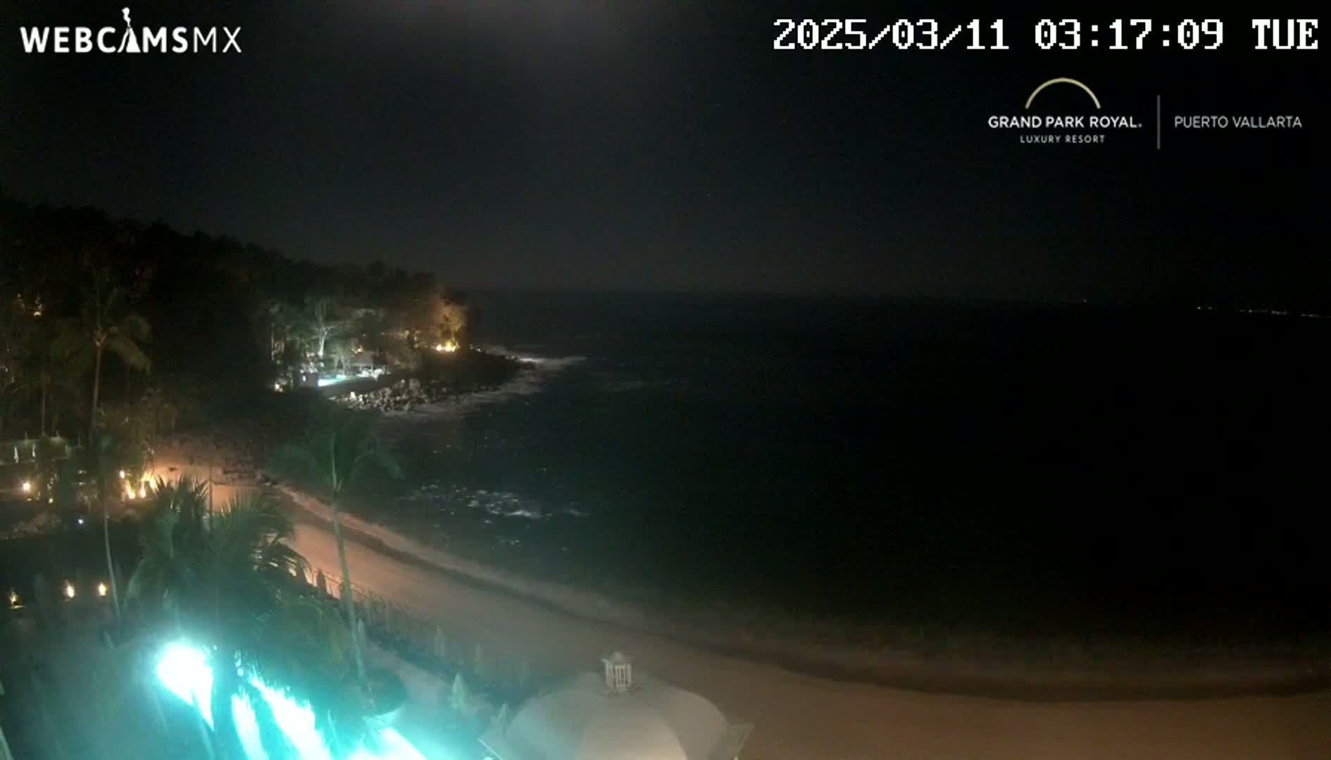 A nighttime view of a dark ocean shore with a sandy beach, palm trees, and lights from a resort visible on the coast.