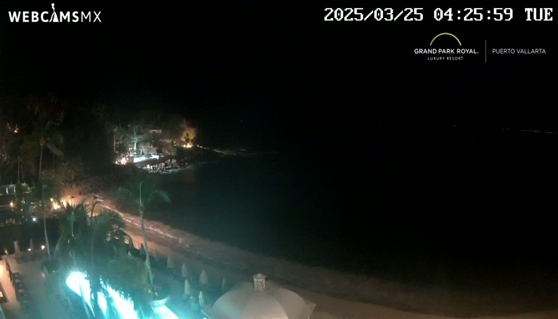 A nighttime view of a resort beach with palm trees, a lit-up pool, and a dark ocean under a clear sky.