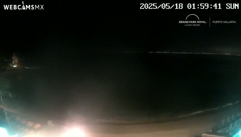 A nighttime beach scene shows a dark ocean with a faint line of light on the horizon under a clear, dark sky.