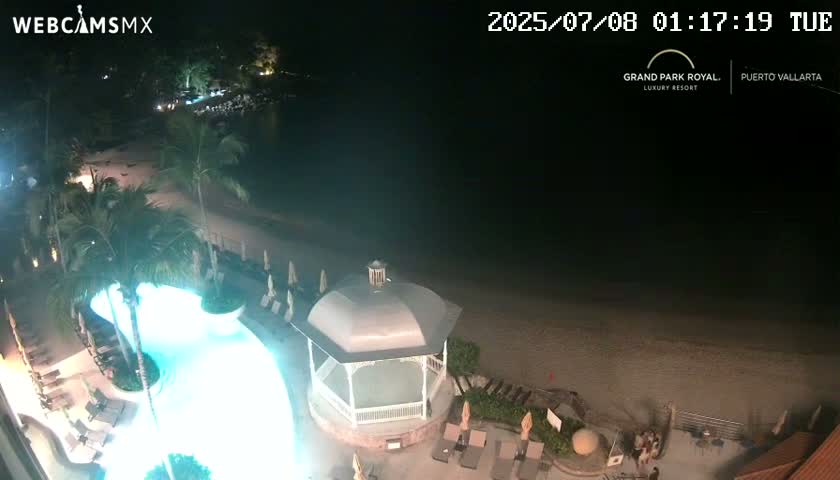 An illuminated pool and beach area at night, with palm trees and a gazebo, overlooking a calm, dark ocean.