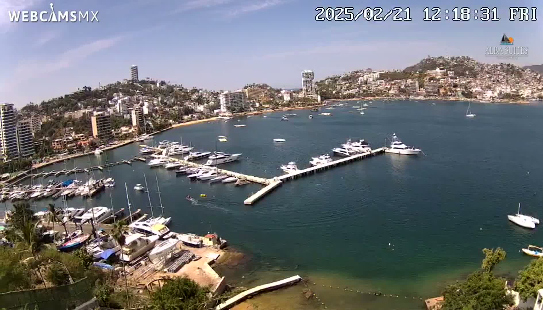 A marina filled with numerous boats is nestled in a bay next to a city on a sunny day.