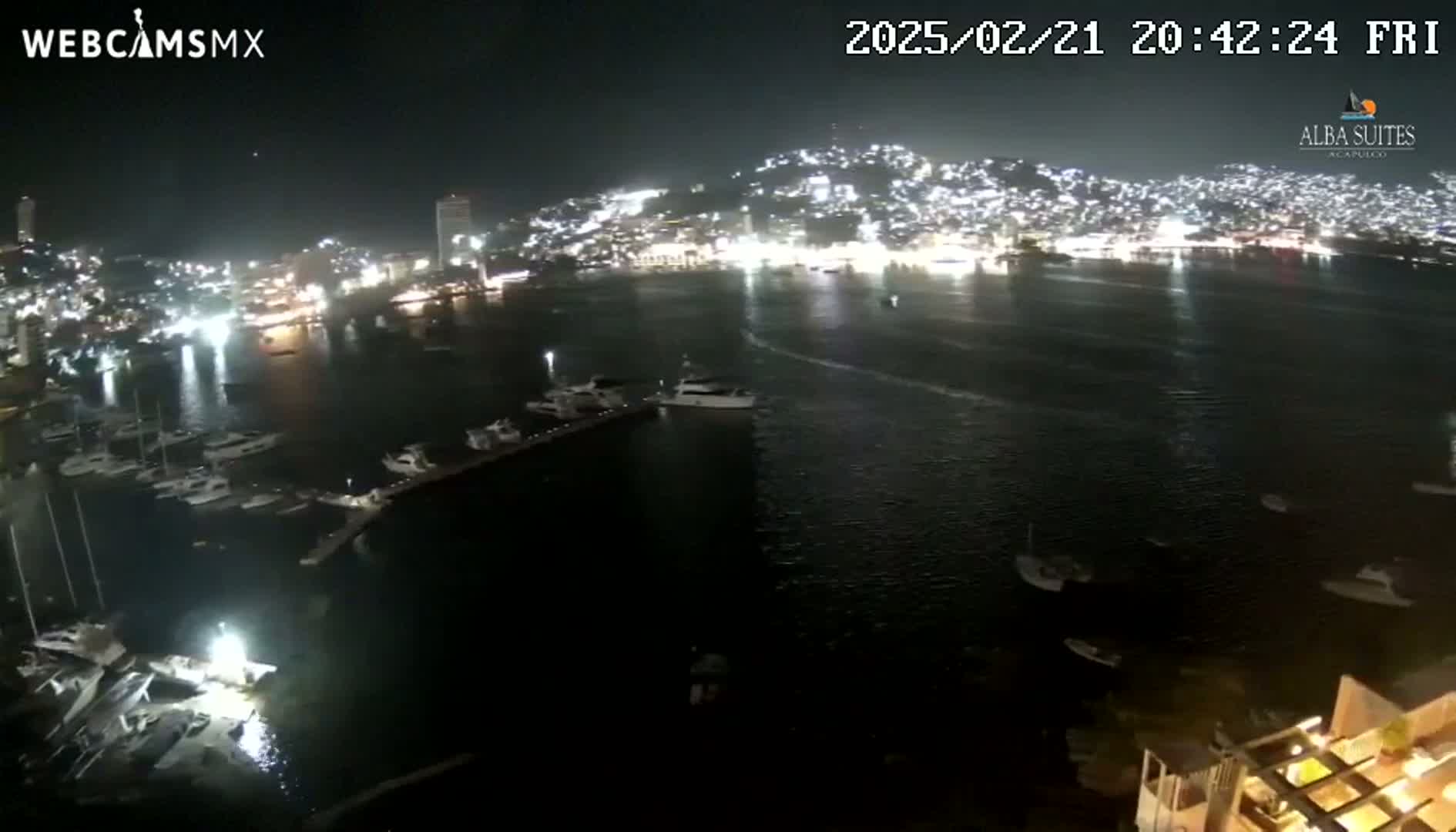 A nighttime view of a harbor filled with boats, next to a brightly lit city on a hill.