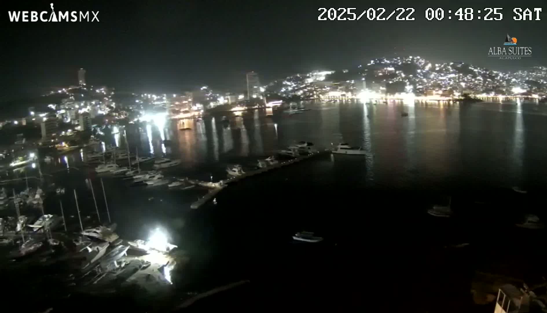 A nighttime view of a harbor filled with boats, with a brightly lit city on a hill in the background under a clear sky.