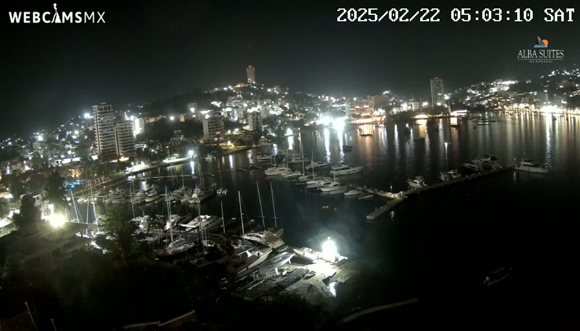 A nighttime aerial view of a harbor filled with boats, docked near a brightly lit city under a clear, dark sky.