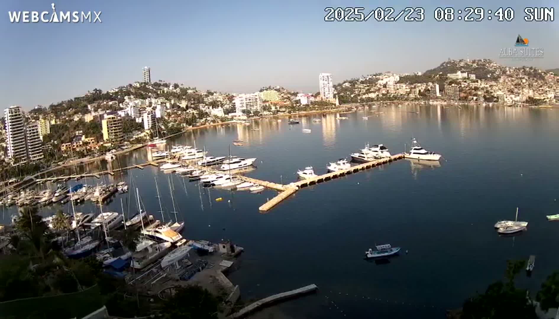 A marina filled with numerous boats is situated in a bay next to a city on a sunny day.