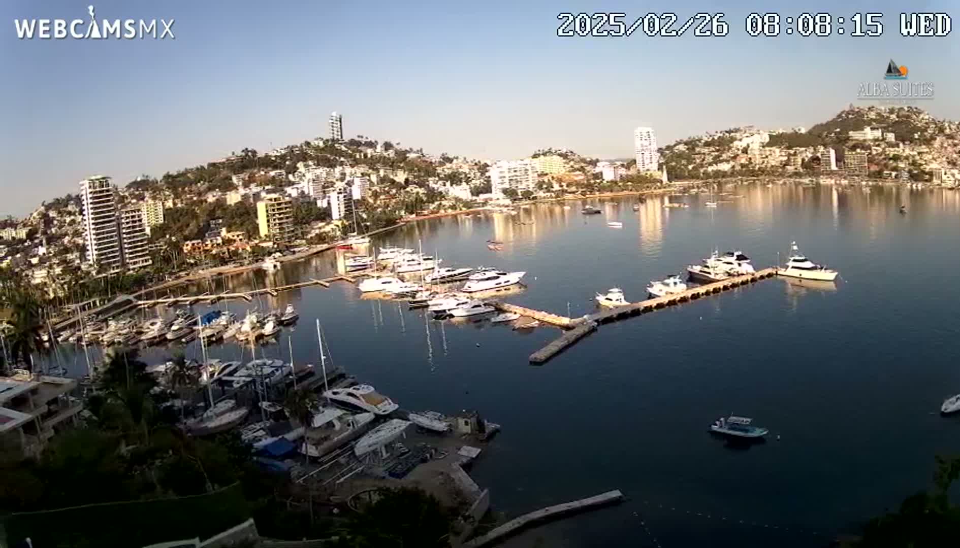 A marina filled with numerous boats is situated in a calm bay, bordered by a city of high-rise buildings and hills, under a clear, sunny sky.
