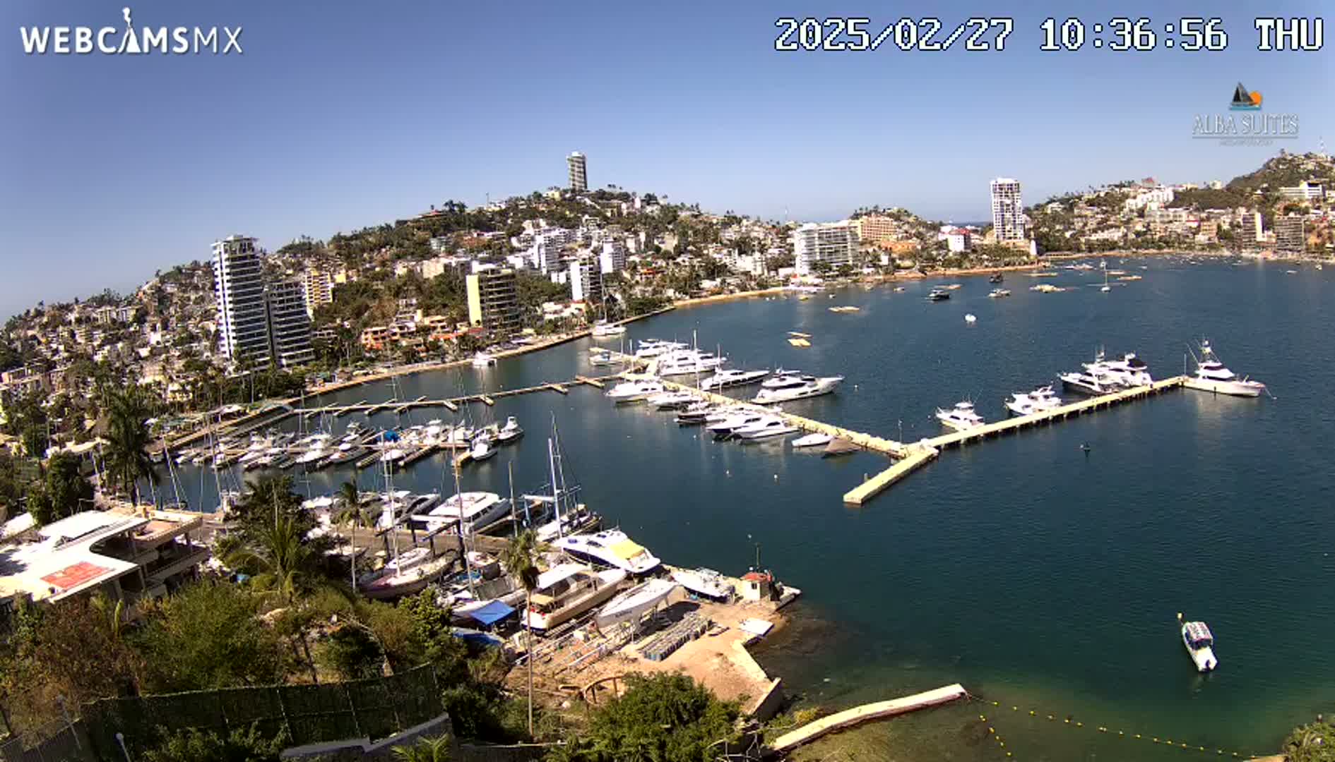 A marina filled with numerous boats is nestled in a bay, surrounded by a city of high-rise buildings and lush green hills under a clear, sunny sky.