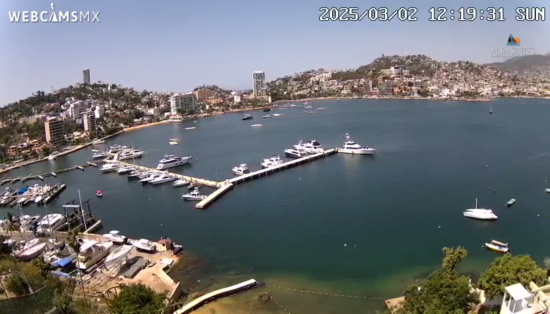 A marina filled with numerous boats is situated in a calm bay, next to a hillside town under a clear sunny sky.