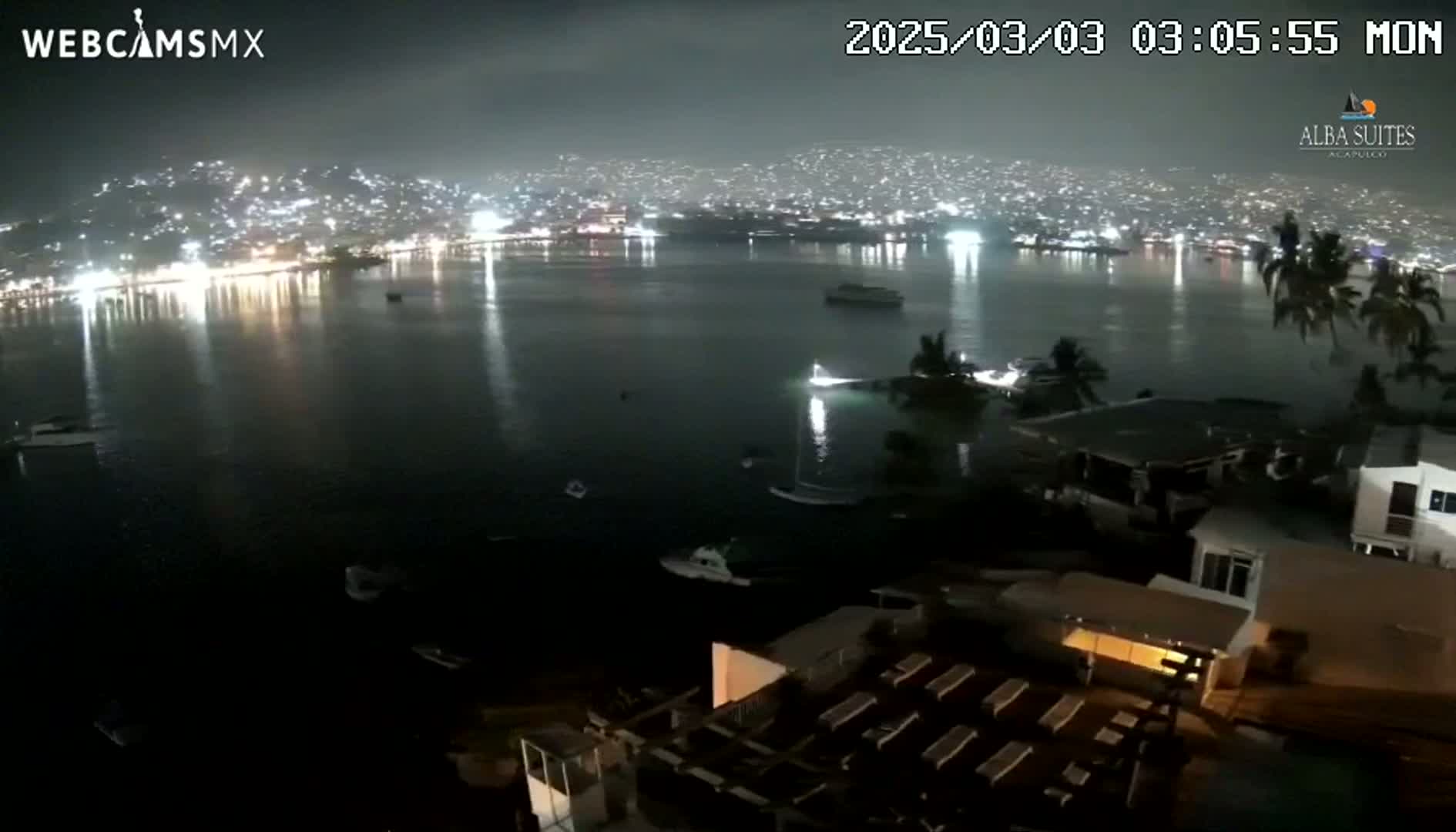 A nighttime view of a city's lights across a dark body of water, with several boats visible and palm trees in the foreground under a cloudy sky.