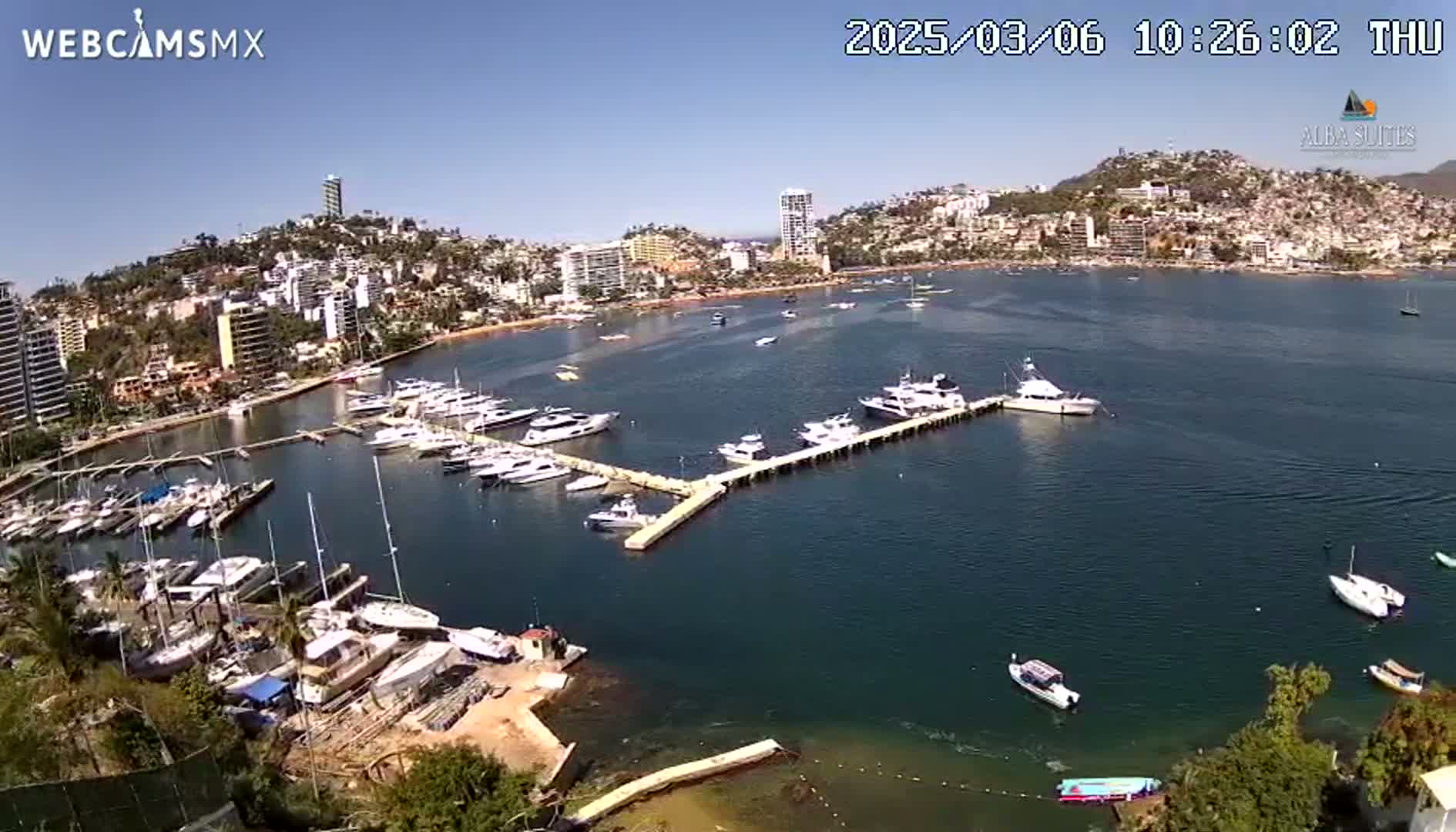 A marina filled with boats is situated in front of a city built on a hillside, all under a clear, sunny sky.