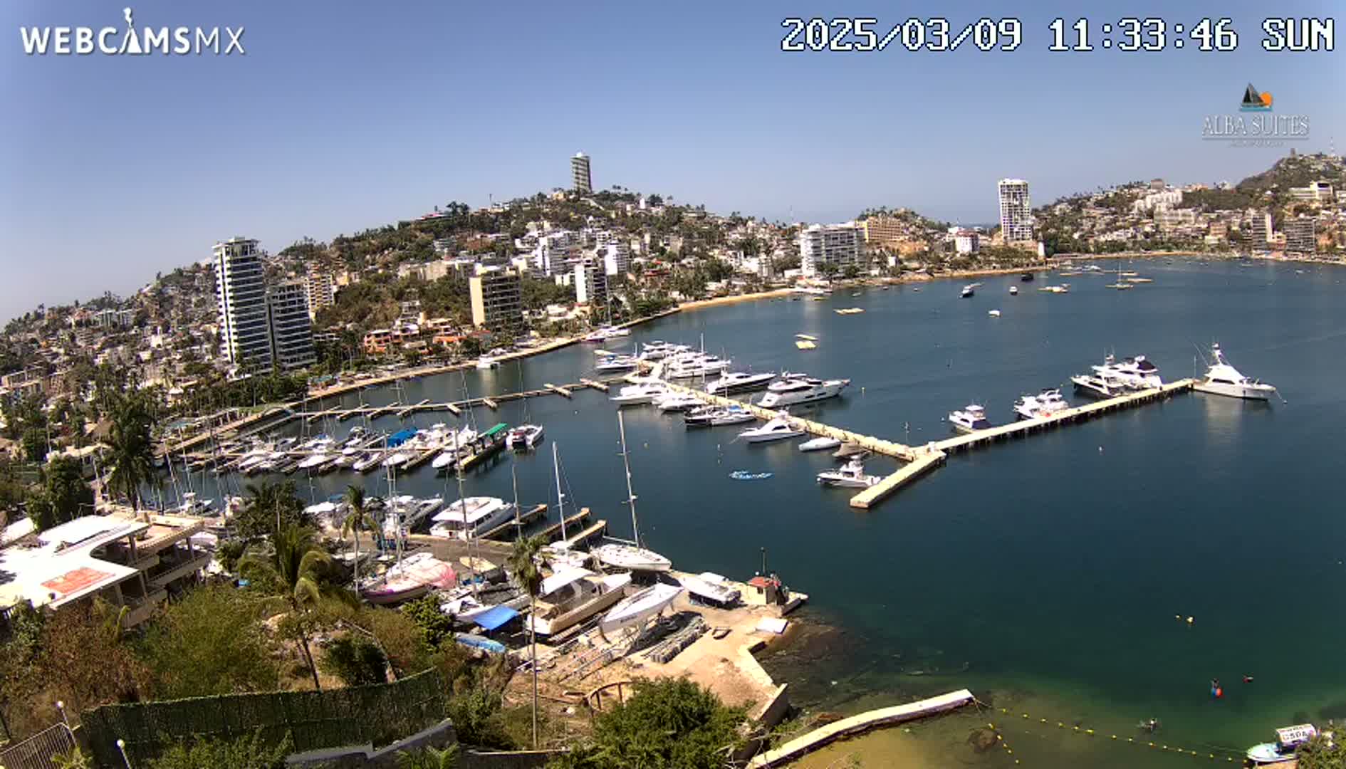 A marina filled with numerous boats is situated in a bay next to a city on a sunny day.