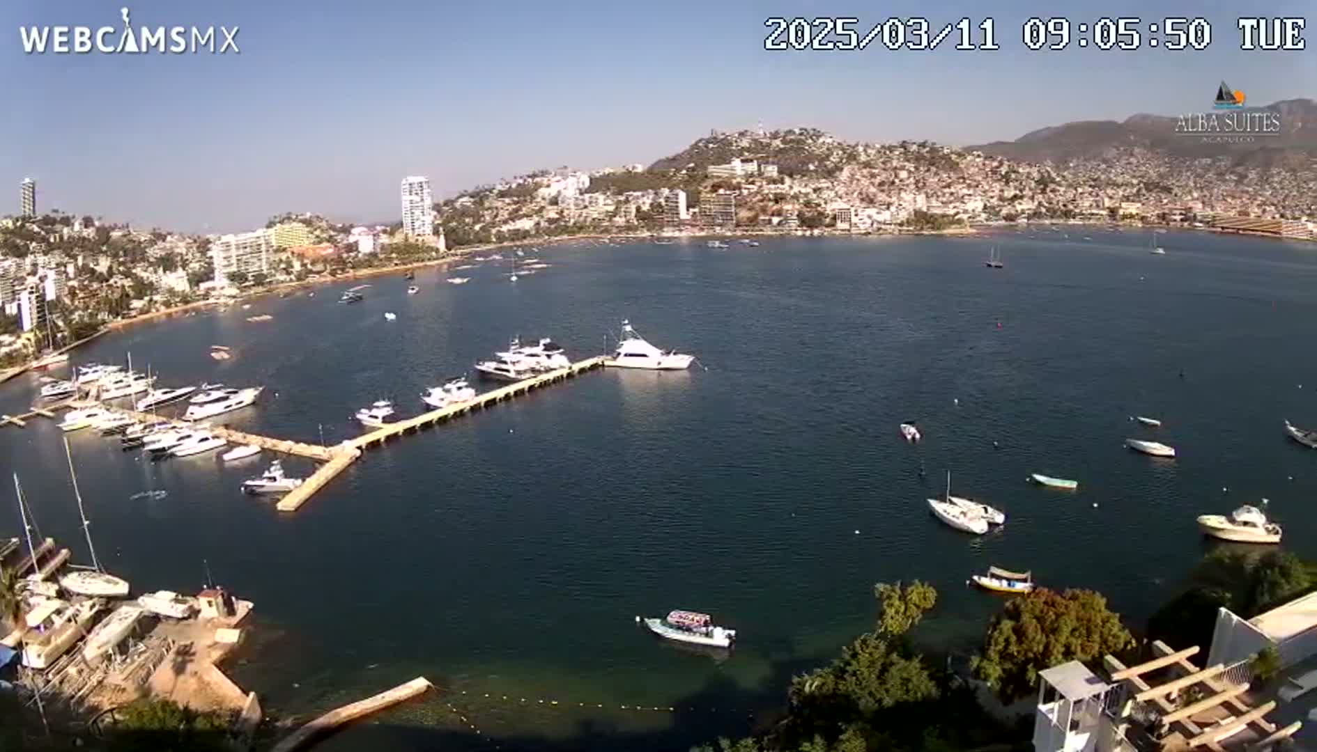 A sunny day overlooking a calm bay filled with numerous boats docked at a pier, with a city and hills visible in the background.