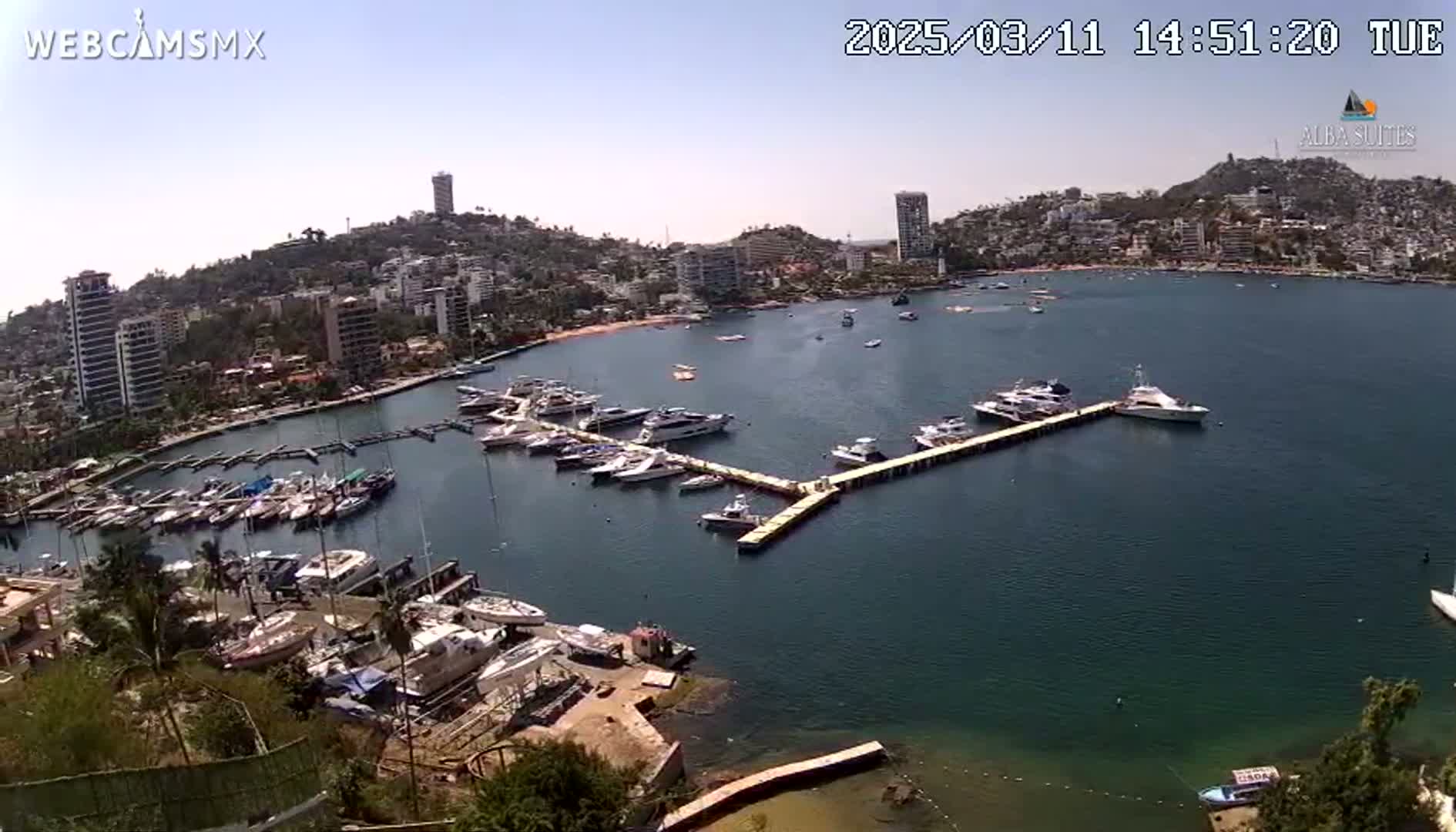 A marina filled with numerous boats is nestled in a bay, surrounded by a city built on a hillside under a clear, sunny sky.