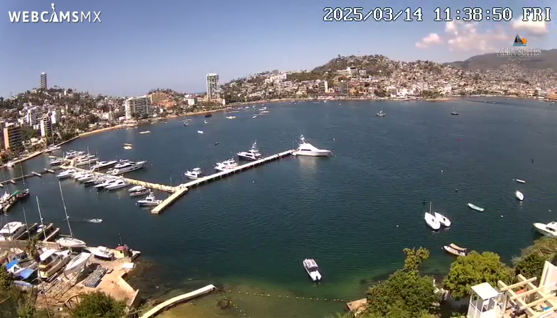 A harbor filled with numerous boats is nestled in a bay next to a city built on a hillside under a clear, sunny sky.