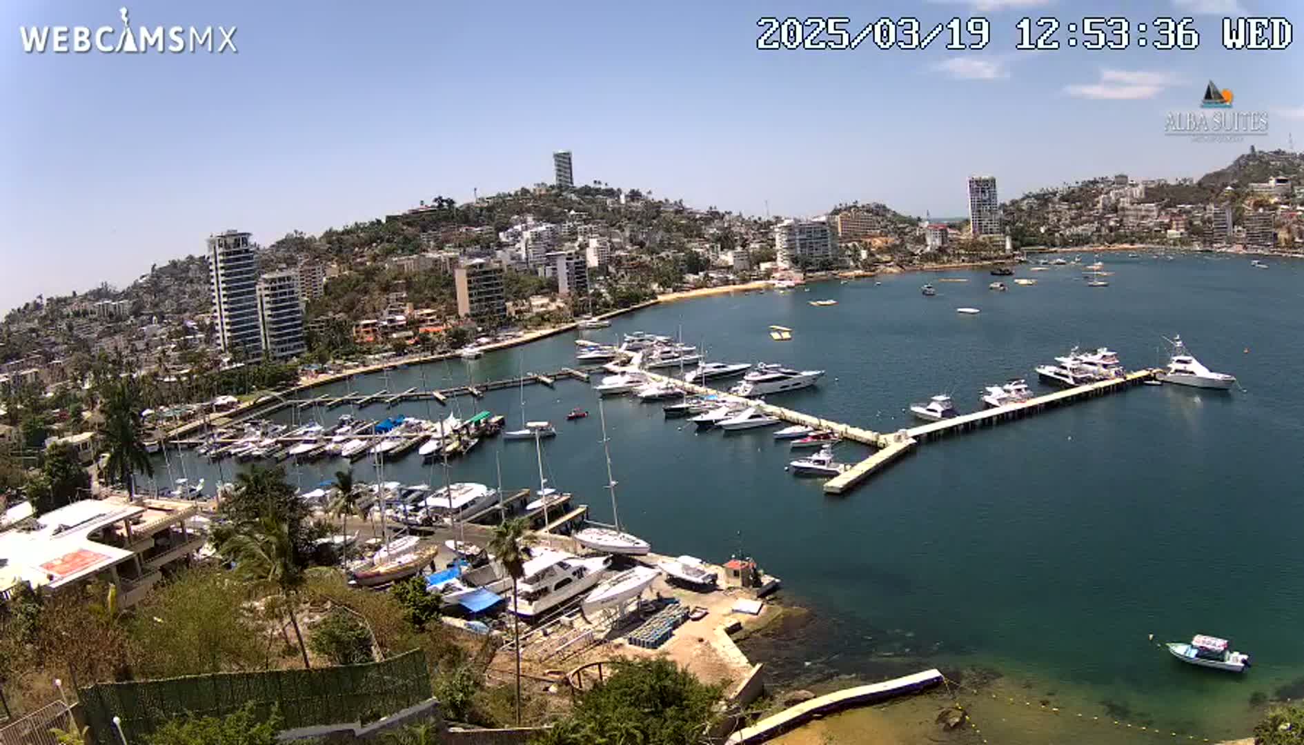 A marina filled with numerous boats is nestled in a bay next to a hillside town under a clear, sunny sky.