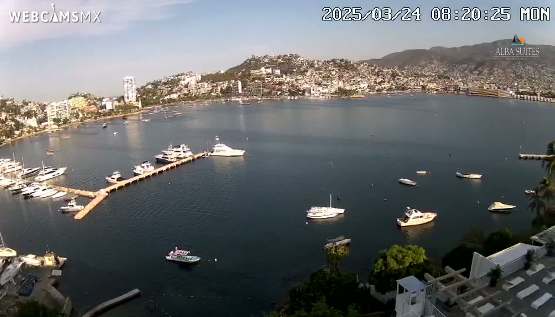 A calm bay with numerous boats docked at a pier, overlooking a city nestled against a hillside under a clear, sunny sky.