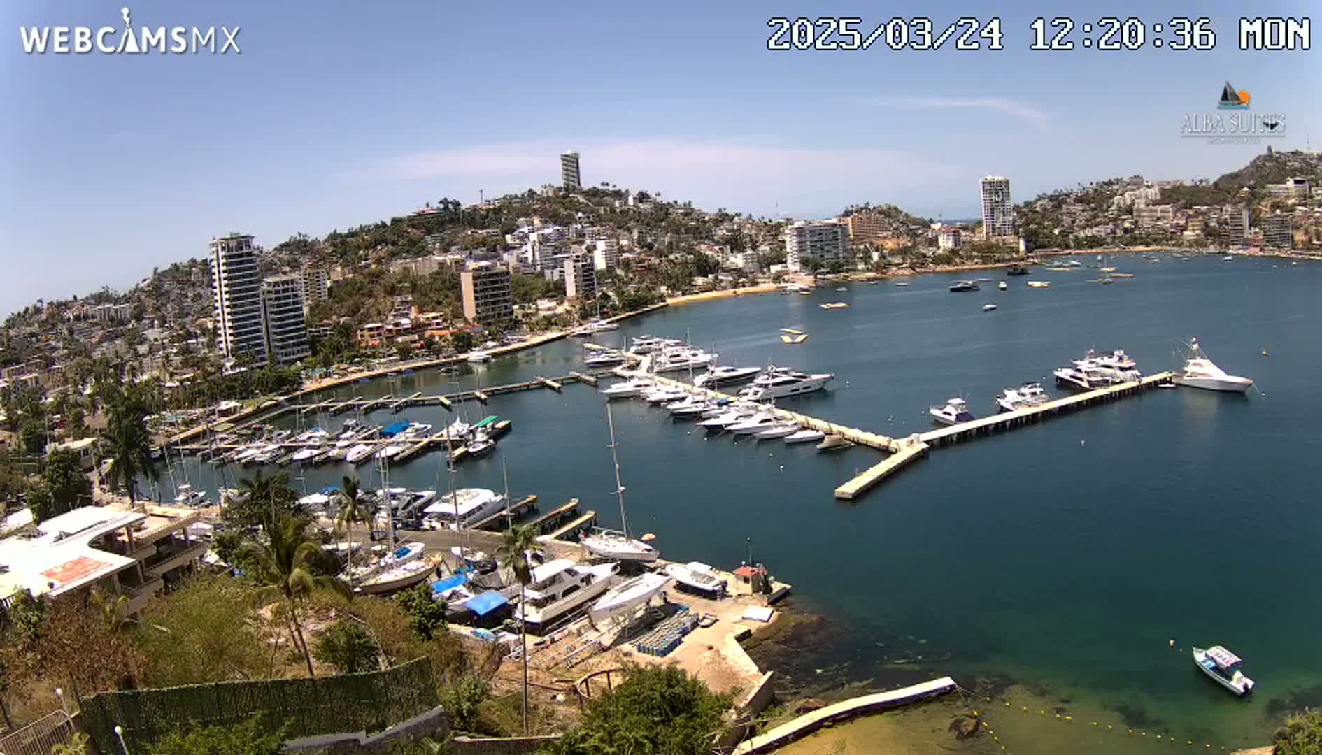 A marina filled with numerous boats is situated in a bay next to a city on a sunny day.