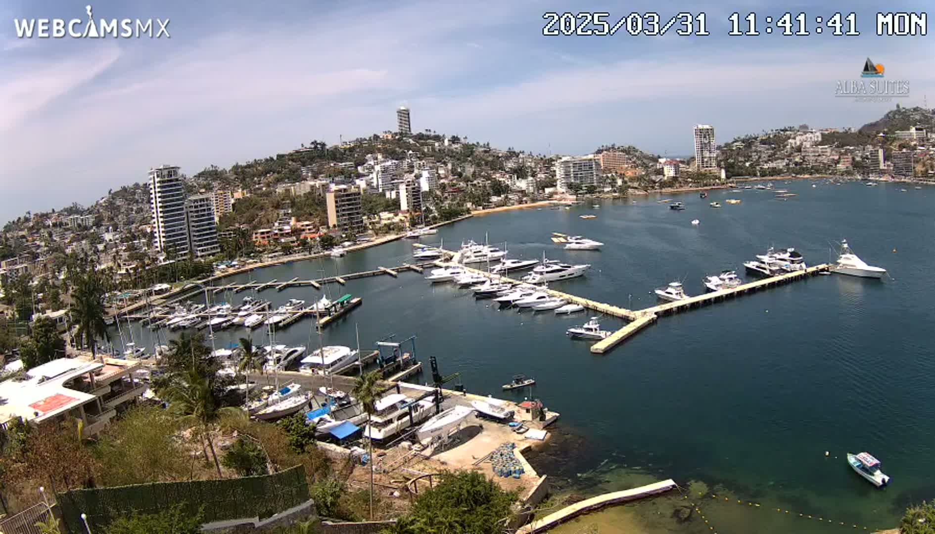 A sunny day shows a marina filled with boats docked at piers near a city built on a hillside overlooking a bay.