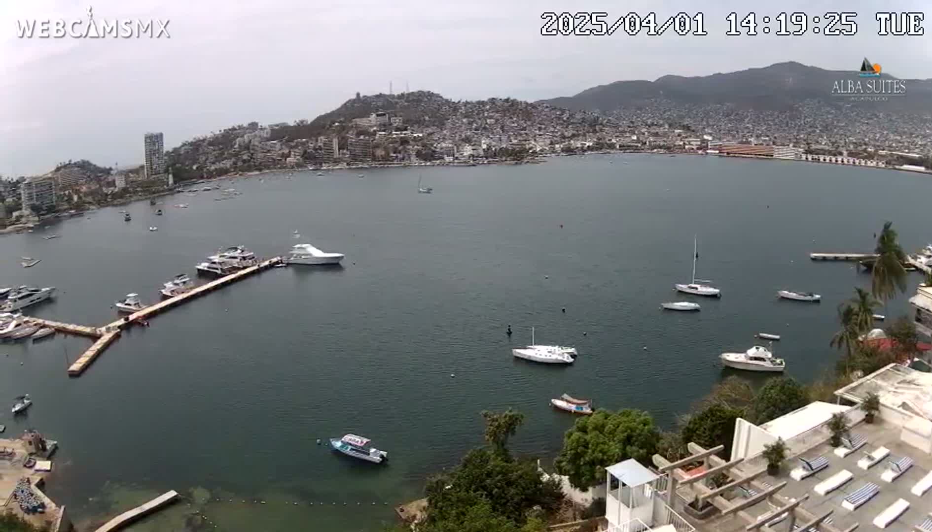 An overcast day shows a calm bay with numerous boats moored at a marina, a city sprawling across a hillside in the background.