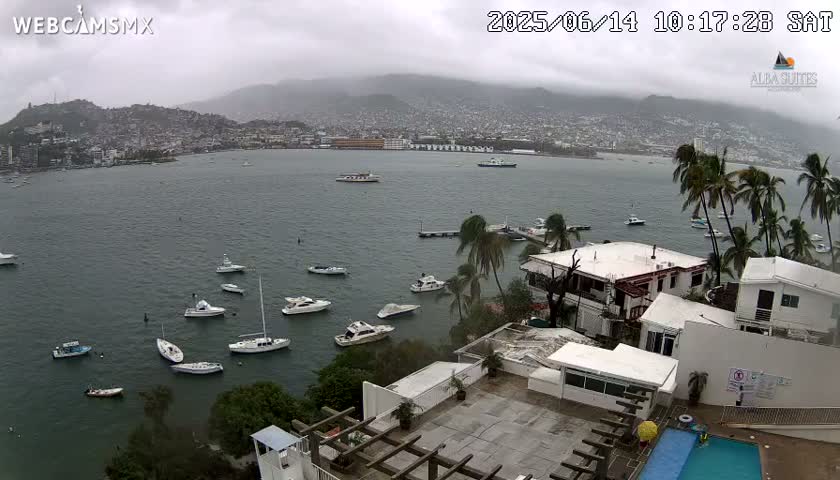 A coastal city is seen under an overcast sky, with numerous boats in the bay and palm trees lining the shore near white buildings and a swimming pool.