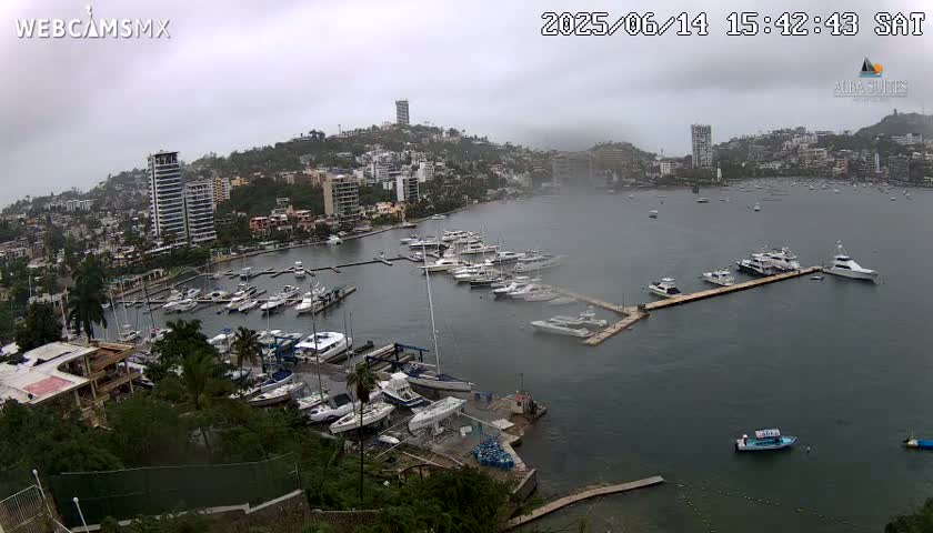 A coastal city is seen under an overcast sky, with numerous boats in the bay and palm trees lining the shore near white buildings and a swimming pool.