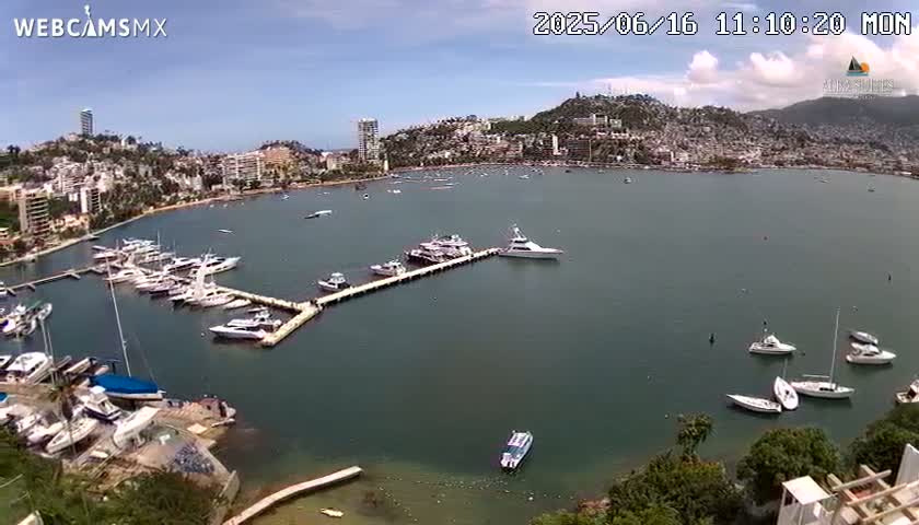 A harbor filled with numerous boats and yachts is situated near a city built on a hillside, under a partly cloudy sky.