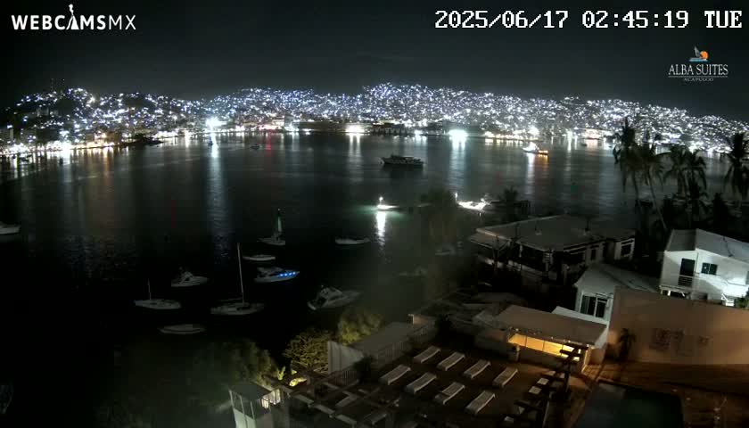 A nighttime view of a city illuminated along a calm bay with numerous boats moored, surrounded by dark buildings and palm trees.