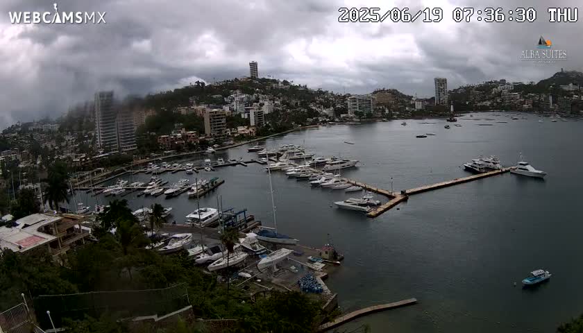 A marina filled with numerous boats is situated below a hilltop city under an overcast sky.