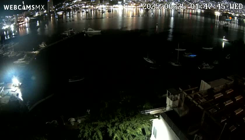 A nighttime aerial view of a harbor with several boats docked, a city skyline illuminated in the background, and dark green vegetation in the foreground.