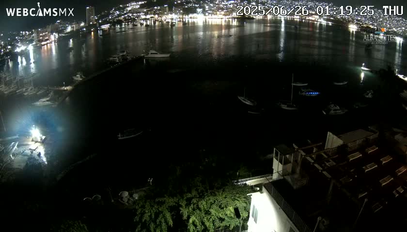 A nighttime, high-angle view shows a dark body of water with several boats and a brightly lit city skyline in the distance.