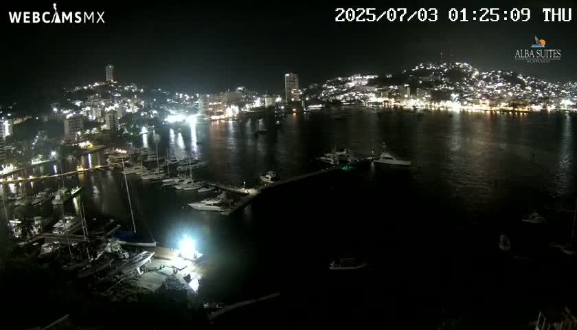 A nighttime view of a harbor filled with boats, next to a brightly lit city on a hillside.