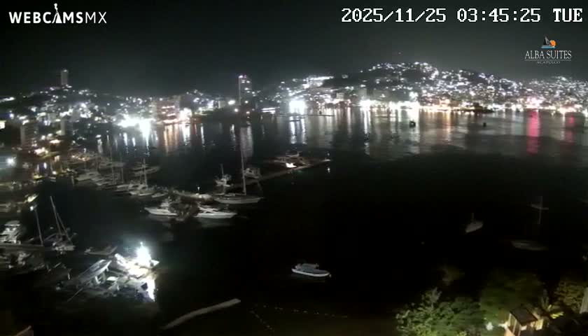 A clear night reveals a vibrant coastal city with bright lights illuminating the hillsides and reflecting on the calm bay, which is dotted with numerous boats.