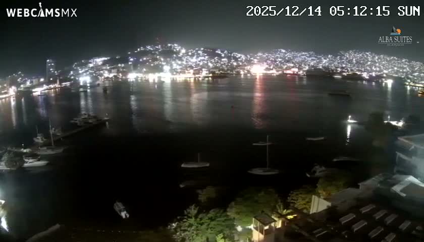 A clear night reveals a vibrant coastal city with bright lights illuminating the hillsides and reflecting on the calm bay, which is dotted with numerous boats.