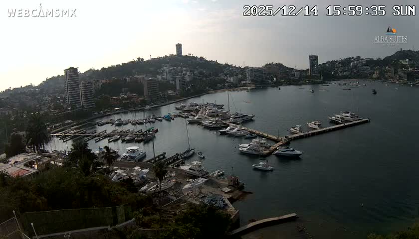 A clear night reveals a vibrant coastal city with bright lights illuminating the hillsides and reflecting on the calm bay, which is dotted with numerous boats.