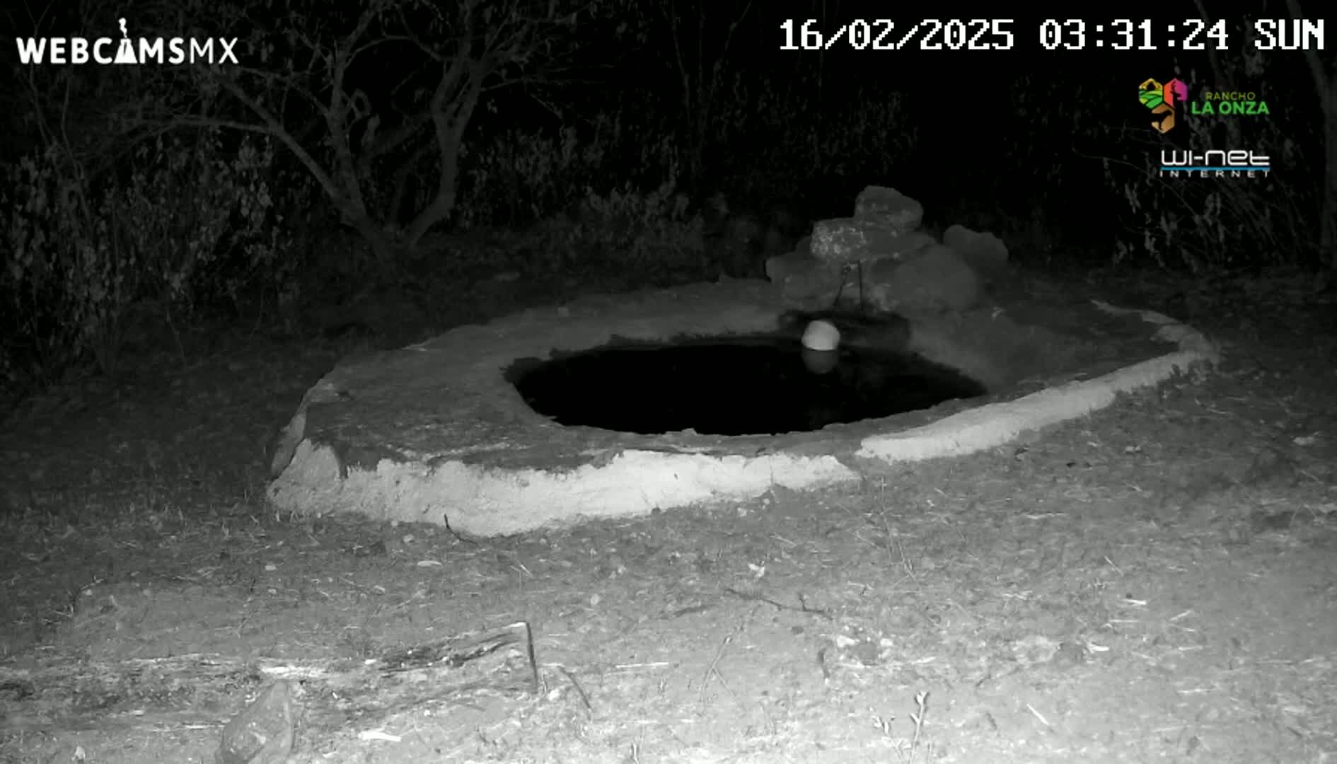 A small, shallow, dark pool of water sits in a low, earthen basin at night, surrounded by sparse vegetation.
