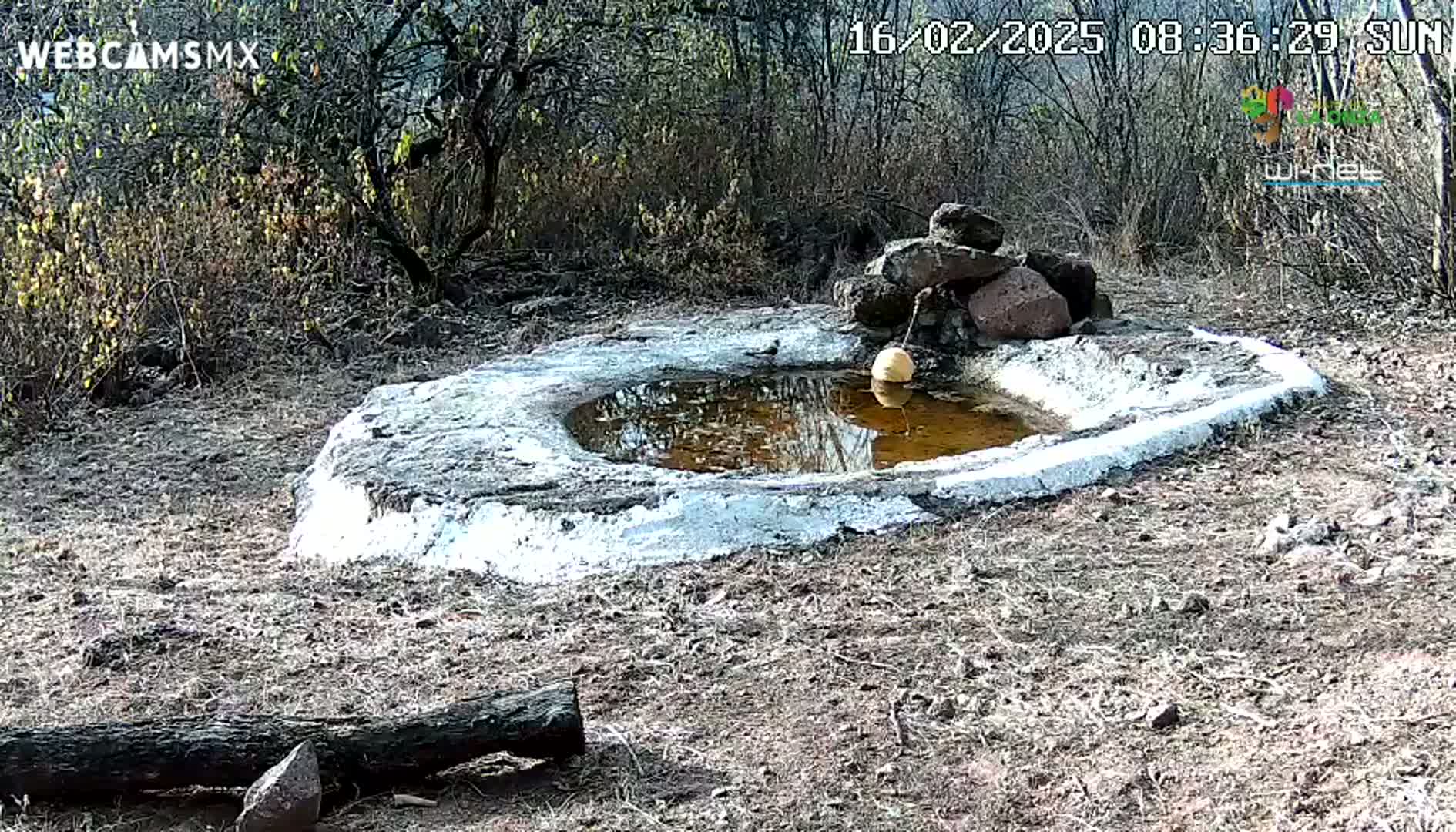 A small, round, concrete pool of muddy water sits in dry, scrubby land under a sunny sky.