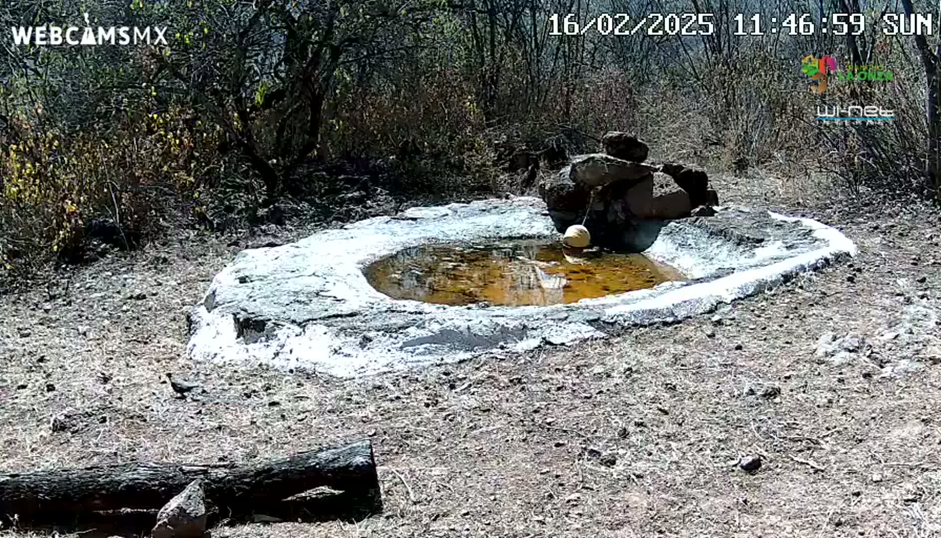 A small, shallow, circular pool of murky brown water sits in a stone basin, surrounded by dry, brown earth under a sunny sky.