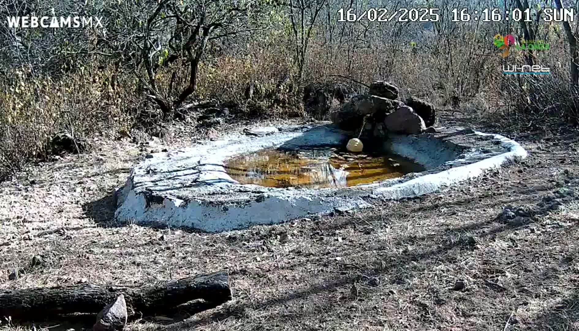 A small, partially-filled, cement-lined pond sits in a dry, sunny, scrubby landscape.